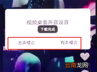 vivonex中设置动态壁纸的操作步骤