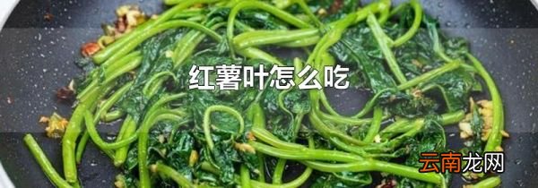 红薯叶怎么吃