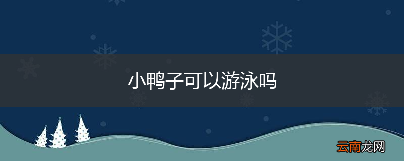 小鸭子可以游泳吗