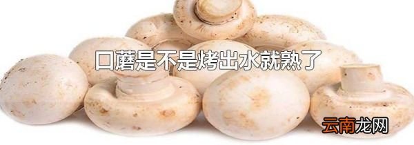 口蘑是不是烤出水就熟了