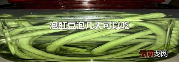 泡豇豆泡几天可以吃