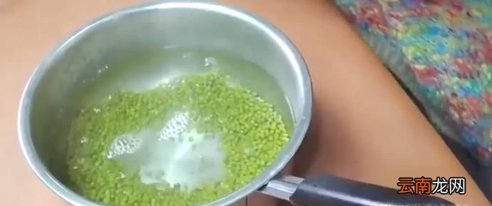 如何自种绿豆芽