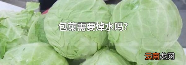 包菜需要焯水吗?