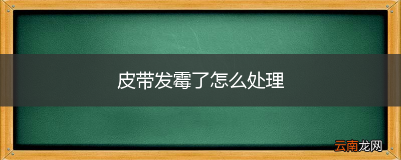 皮带发霉了怎么处理