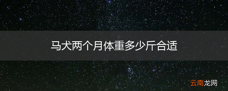马犬两个月体重多少斤合适
