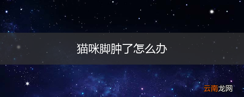 猫咪脚肿了怎么办