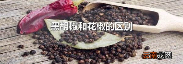 黑胡椒和花椒的区别