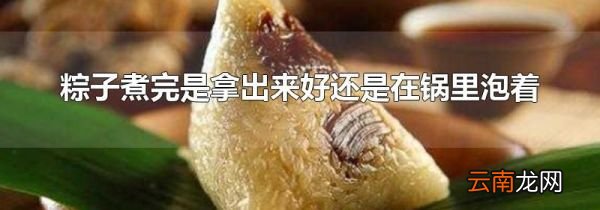 粽子煮完是拿出来好还是在锅里泡着