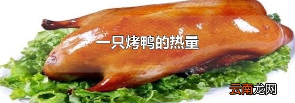 一只烤鸭的热量