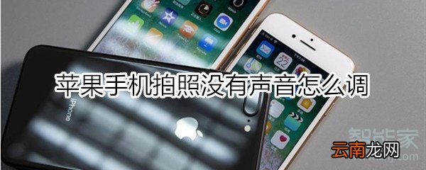 苹果手机拍照没有声音怎么调