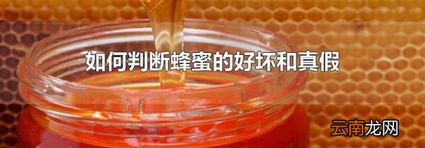如何判断蜂蜜的好坏和真假
