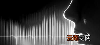 声音怎么分类
