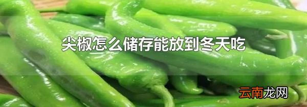 尖椒怎么储存能放到冬天吃
