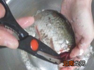 海鲈鱼怎么处理干净