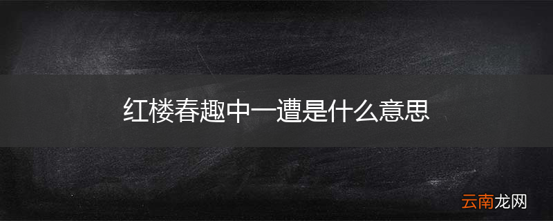 红楼春趣中一遭是什么意思