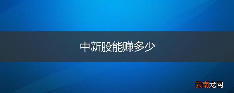 中新股能赚多少