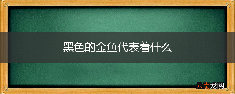 黑色的金鱼代表着什么