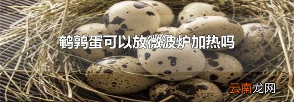 鹌鹑蛋可以放微波炉加热吗