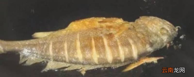 鱼不粘锅不破皮做法