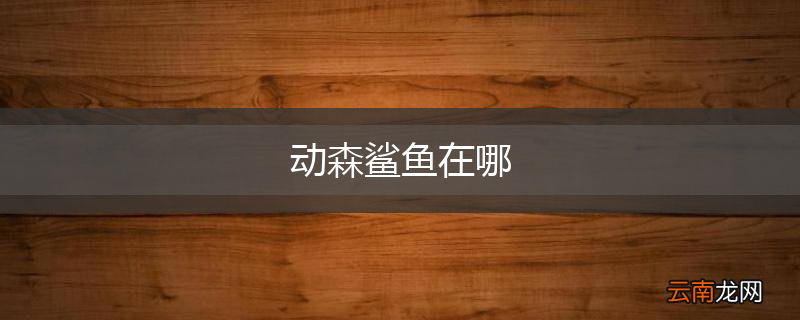 动森鲨鱼在哪