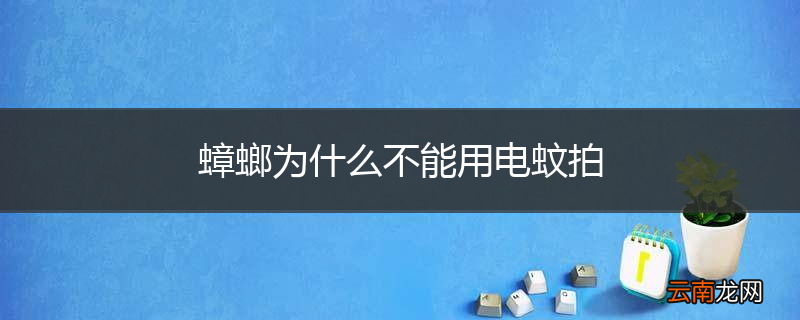蟑螂为什么不能用电蚊拍