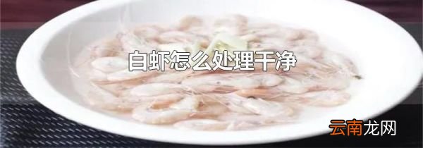 白虾怎么处理干净
