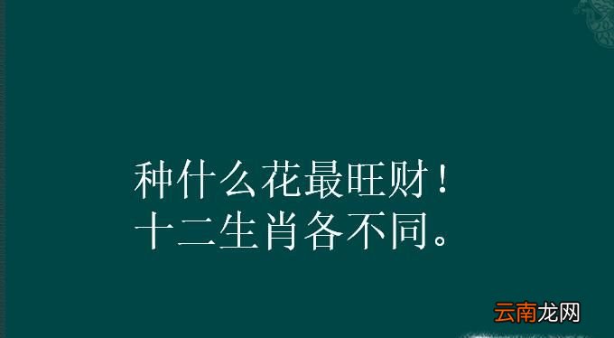 种什么花最旺财，十二生肖各不同