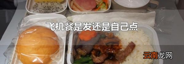 飞机餐是发还是自己点