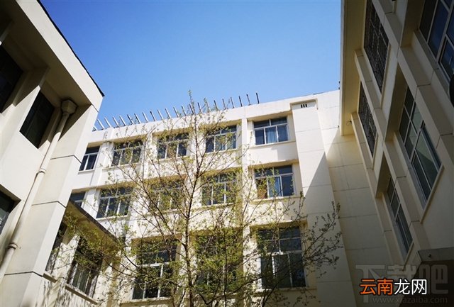 华为P20评测 华为P20怎么样,好不好,值得买吗?