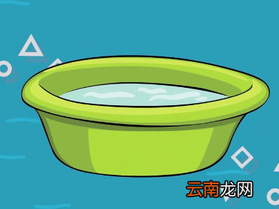 波龙怎么保存才新鲜