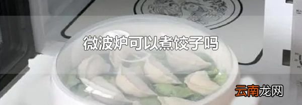 微波炉可以煮饺子吗