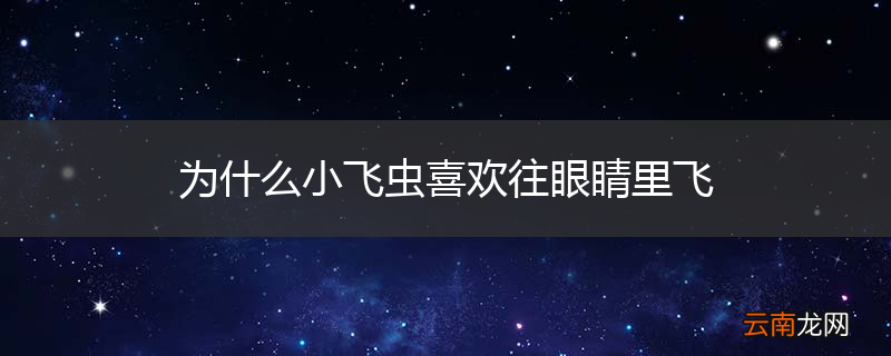 为什么小飞虫喜欢往眼睛里飞