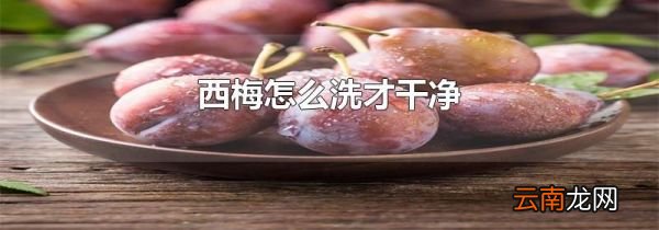 西梅怎么洗才干净