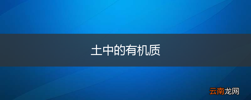 土中的有机质