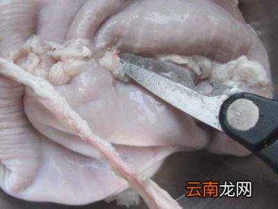 猪肚芯怎么收拾