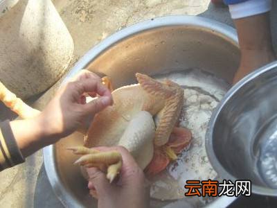 活鸡怎么处理干净