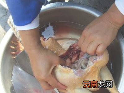 活鸡怎么处理干净