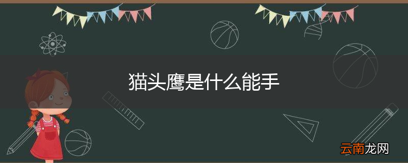 猫头鹰是什么能手