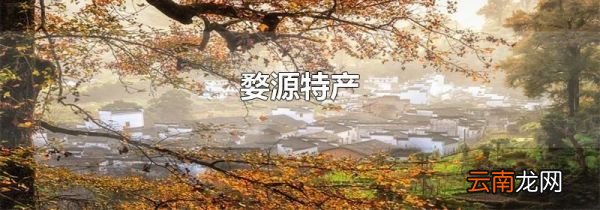 婺源特产