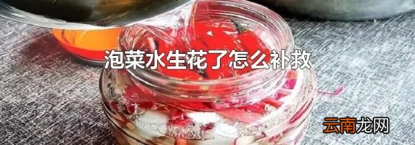 泡菜水生花了怎么补救