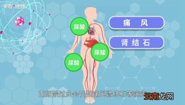 海鲜不能和什么一起吃 海鲜不能跟什么同吃