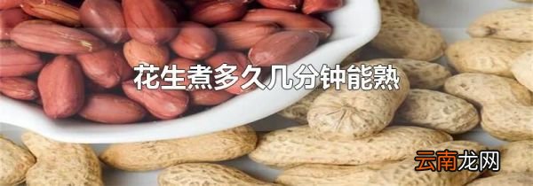 花生煮多久几分钟能熟