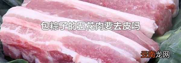 包粽子的五花肉要去皮吗