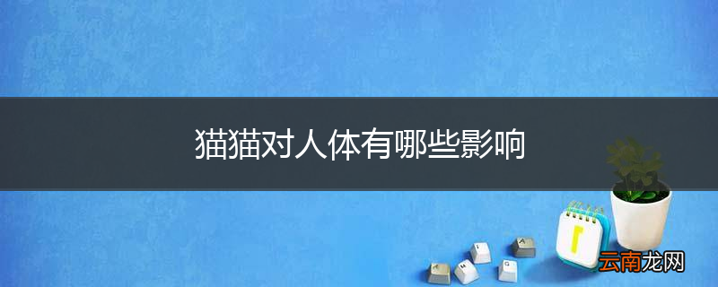 猫猫对人体有哪些影响