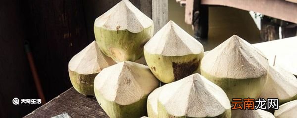 椰子是什么 椰子指什么