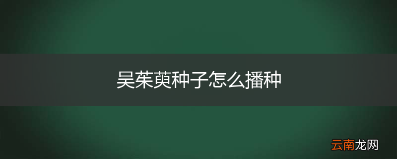 吴茱萸种子怎么播种
