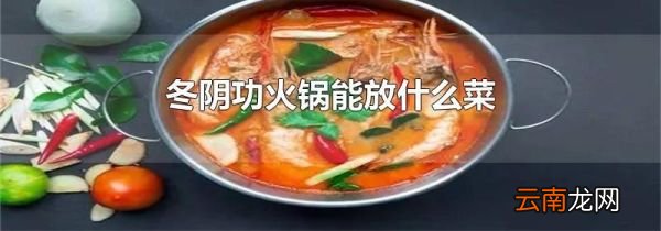 冬阴功火锅能放什么菜