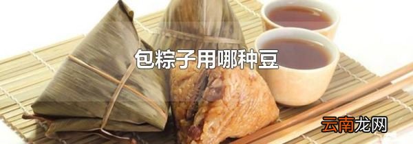包粽子用哪种豆