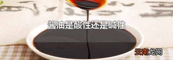酱油是酸性还是碱性