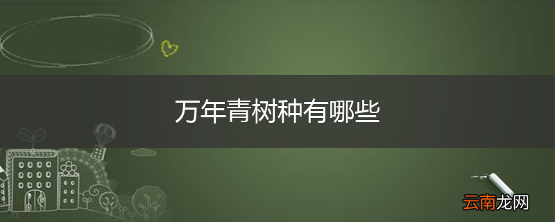 万年青树种有哪些